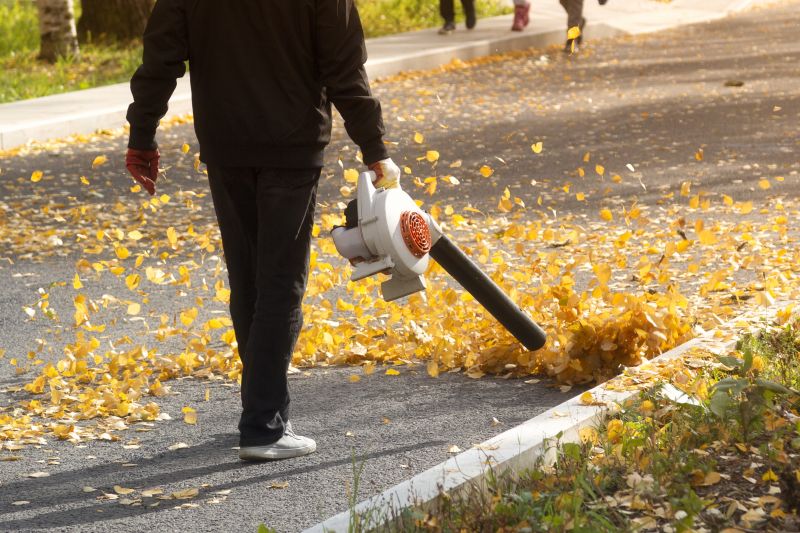 Leaf Blowing in Action