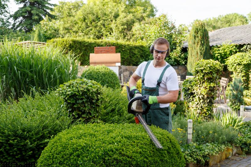 Garden Care Service