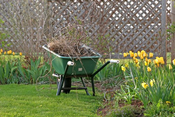 Flower Bed Cleanup Service in Concord
