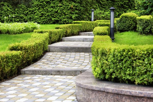 Backyard Remodeling in Concord