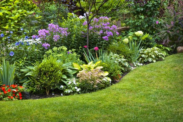 Flower Bed Service in Concord