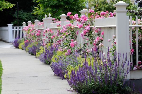Garden Handyman Service in Concord