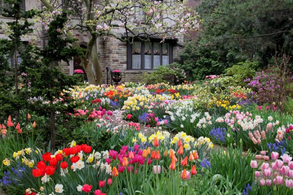 Garden Maintenance Service in Concord