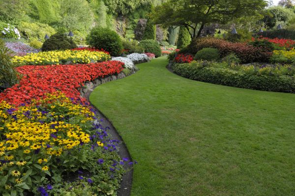 Landscaping Maintenance in Concord