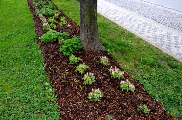 Mulch Replacement Service in Concord