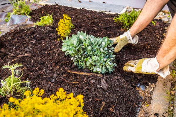 Weeding And Mulching in Concord