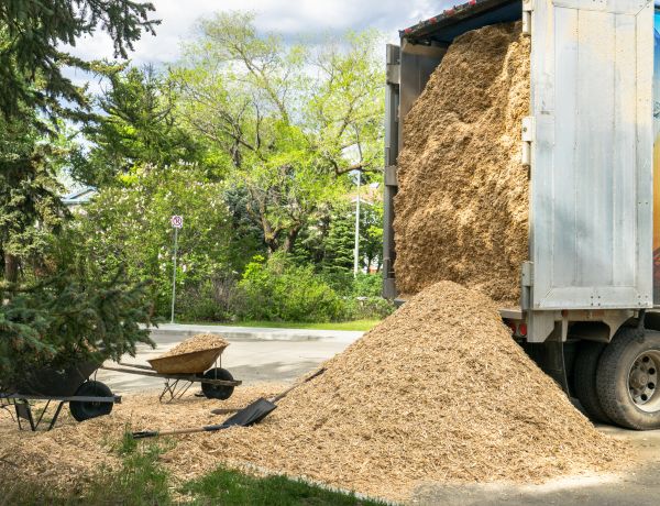 Wood Chips Delivery in Concord
