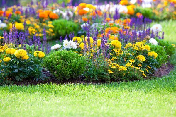 Garden Installation in Concord