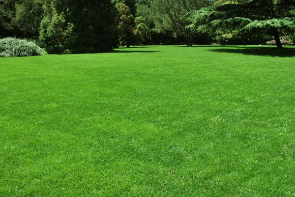 Lawn Landscaping in Concord