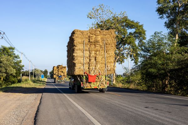 Pine Straw Delivery in Concord