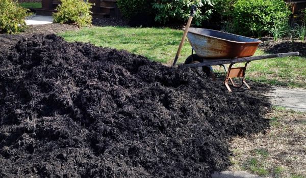Black Mulch Delivery in Concord