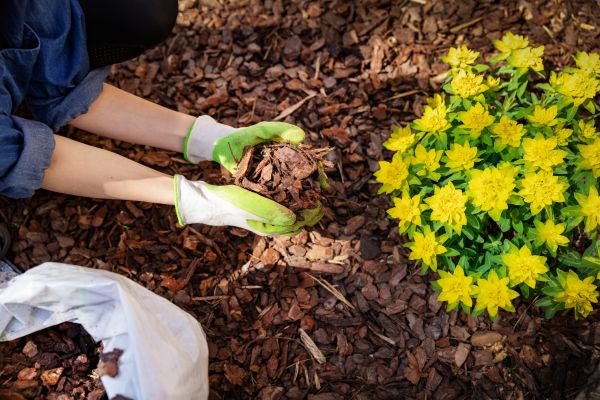 Garden Mulching in Concord