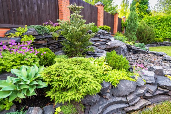 Landscape Remodeling in Concord