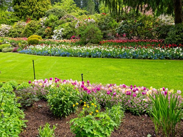 Residential Landscape Design in Concord