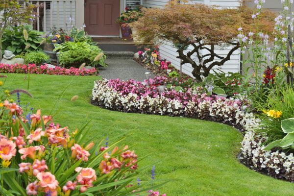 Perennial Landscaping in Concord