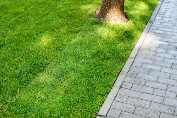 Border Stone Installation in Concord