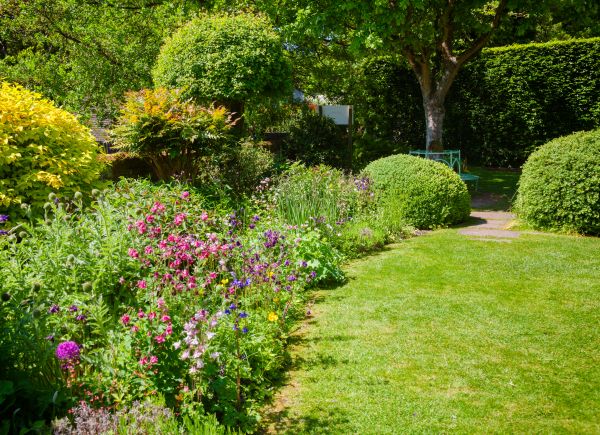 Yard Landscaping Service in Concord