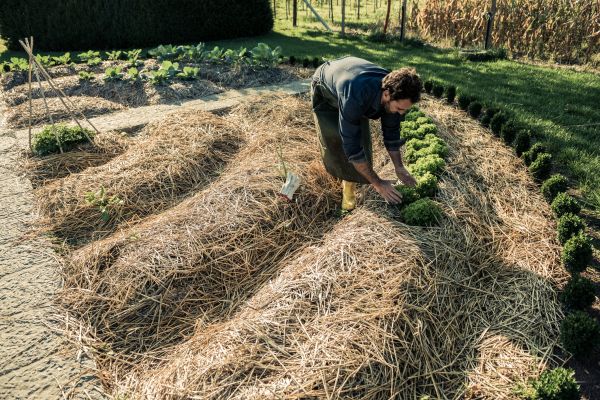 Straw Mulching Service in Concord