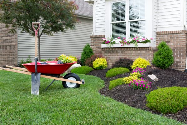 Tree And Shrub Planting in Concord