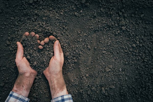 Soil Installation in Concord