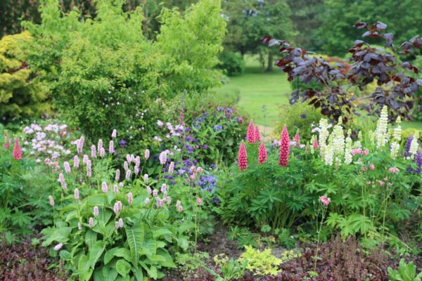 Flower Bed Planting in Concord