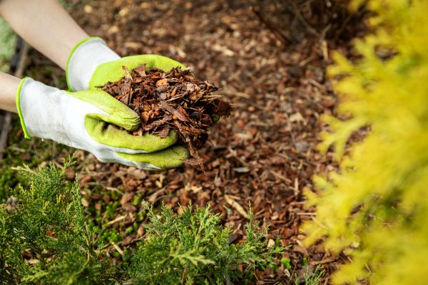 Garden Mulch Delivery in Concord