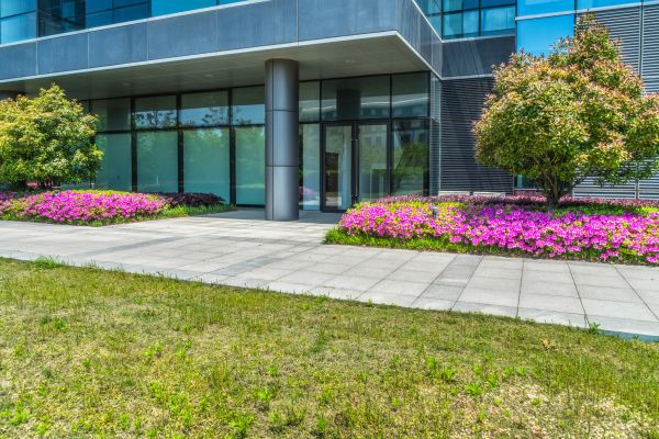 Commercial Gardening in Concord