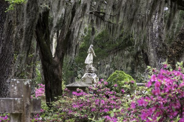 Cemetery Landscaping in Concord