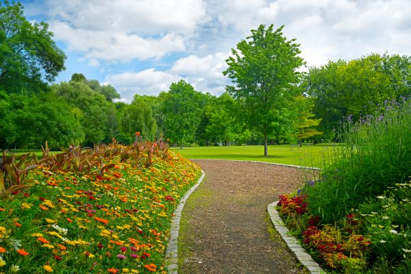 Park Landscaping in Concord