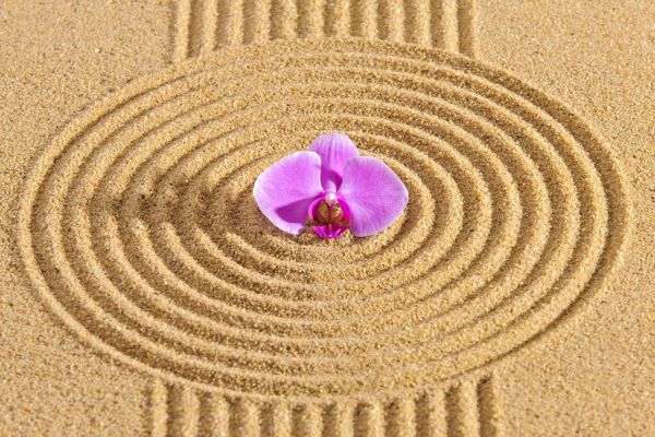Sand Garden Landscaping in Concord