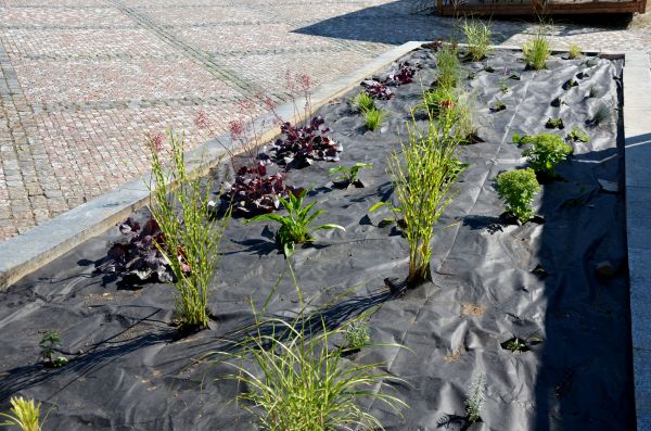 Landscape Fabric Installation in Concord