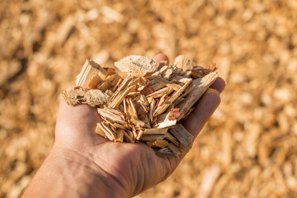 Wood Chips Spreading in Concord