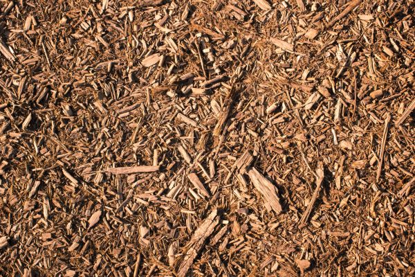 Wood Chips Removal in Concord