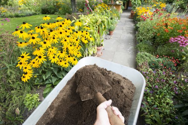 Topsoil Replacement in Concord