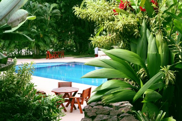 Pool Area Landscaping in Concord