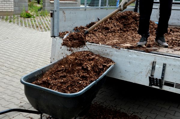 Cedar Mulch Delivery in Concord