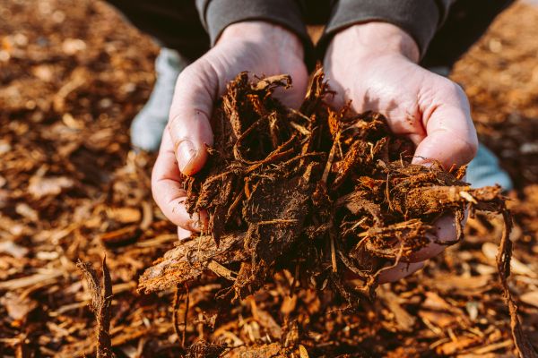 Bark Chips Delivery in Concord