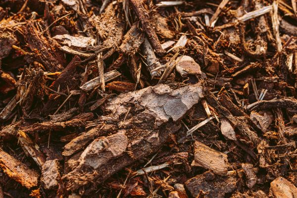 Bark Mulch Delivery in Concord