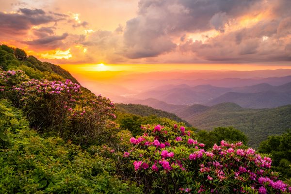 Hill Landscaping in Concord