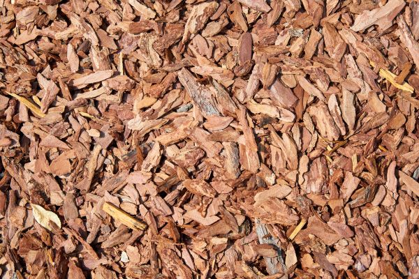 Pine Mulch Spreading in Concord