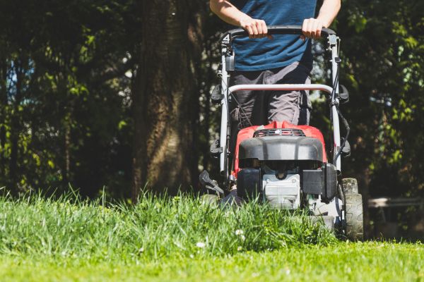 Garden Trimming Service in Concord
