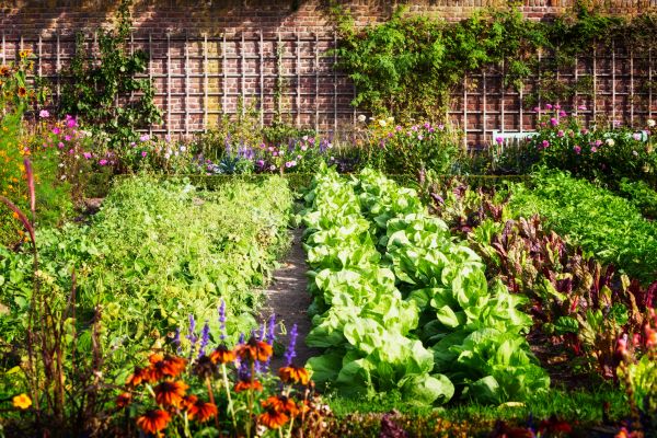 Garden Planting Service in Concord