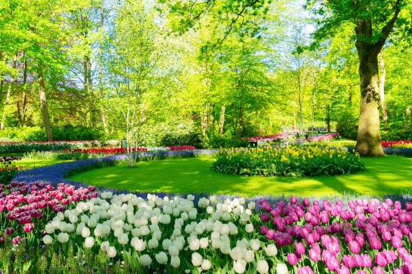 Flower Landscaping in Concord