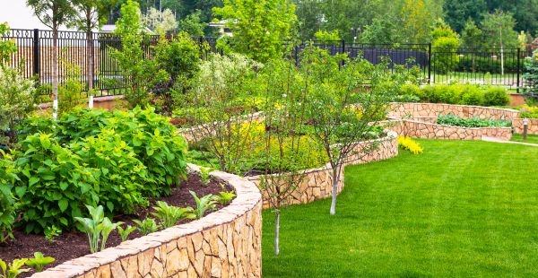 Yard Makeover Service in Concord