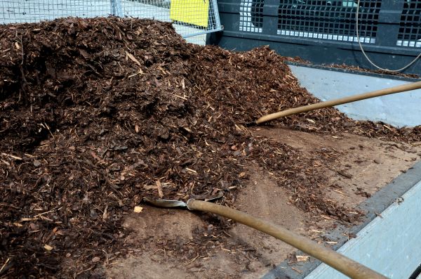 Cedar Bark Delivery in Concord