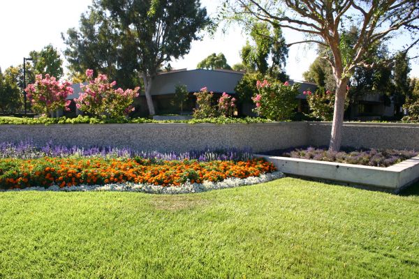 Commercial Landscape Service in Concord