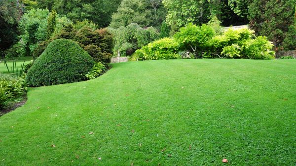 Commercial Landscape Design in Concord