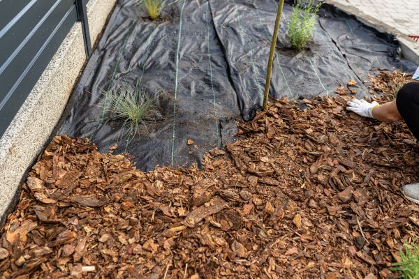 Pine Bark Spreading in Concord