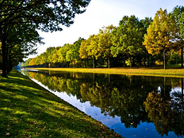 Bank Landscaping in Concord