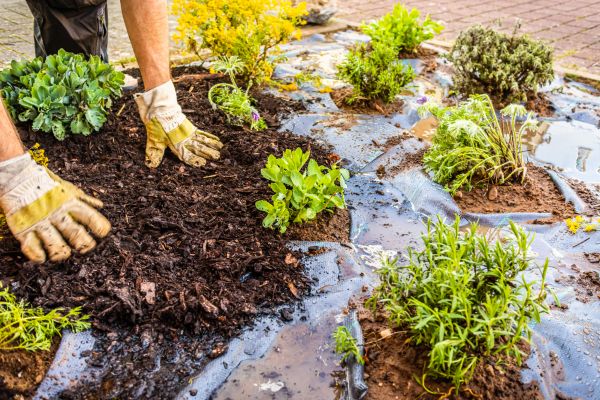 Mulch Fabric Installation in Concord
